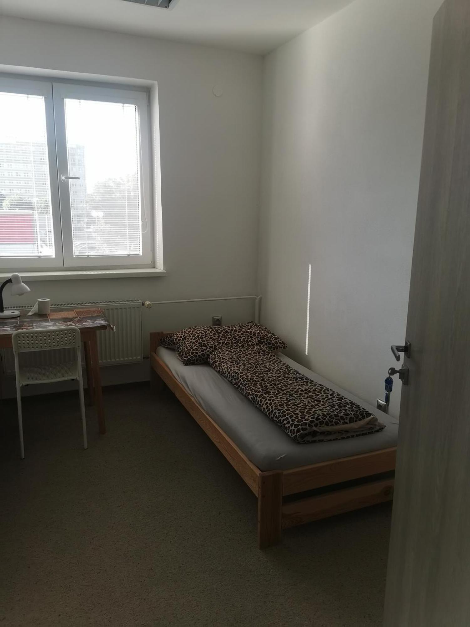 Living Bratislava By The Bus Station Hostel Bagian luar foto